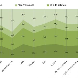 Graphique 2 : Répartition des salariés par taille d’établissement [Source : Insee, CLAP 2014]