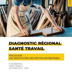Diagnostic re&#769;gional Occitanie - Focus sur les spécificités des petites entreprises